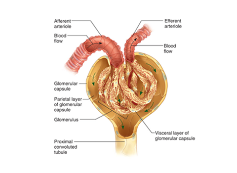 diseases-img